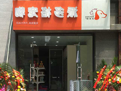 派多格宠物店 派多格宠物店